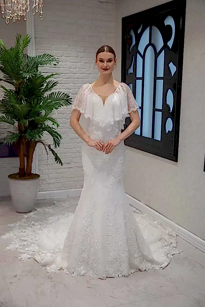 Lace and Tulle Embroidered V-Neck Mermaid Wedding Dress